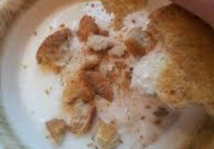 Yoghurt met beschuit